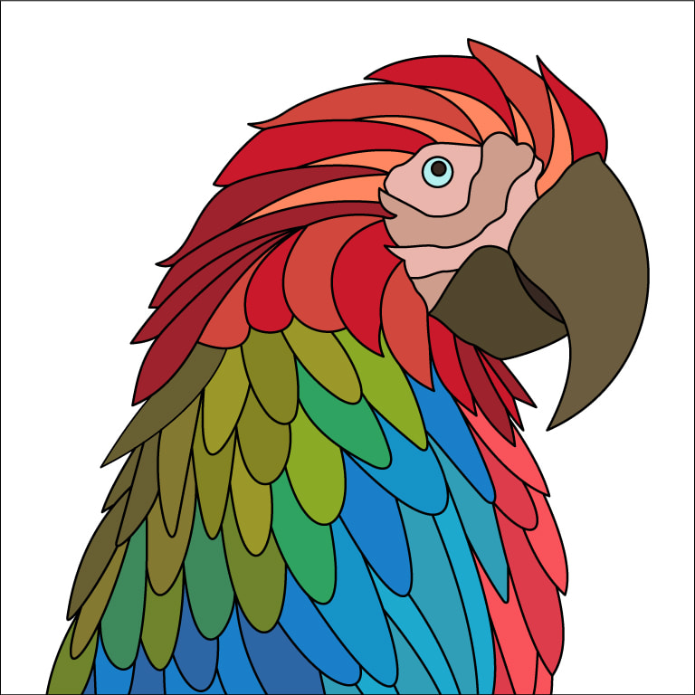 Macaw Parrot Color
