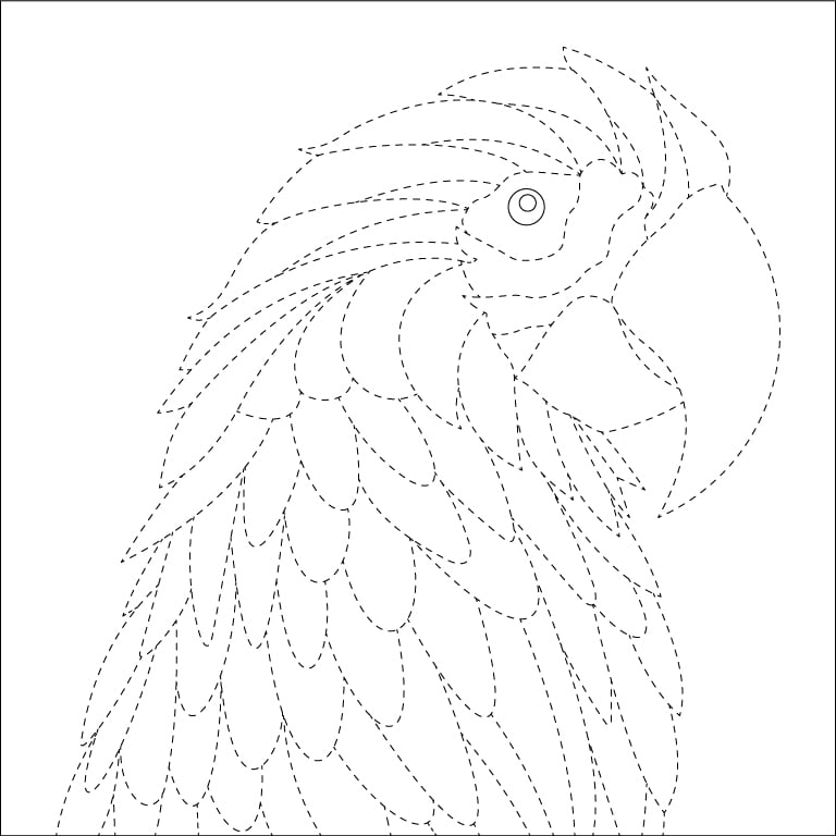 Macaw Parrot Tracing