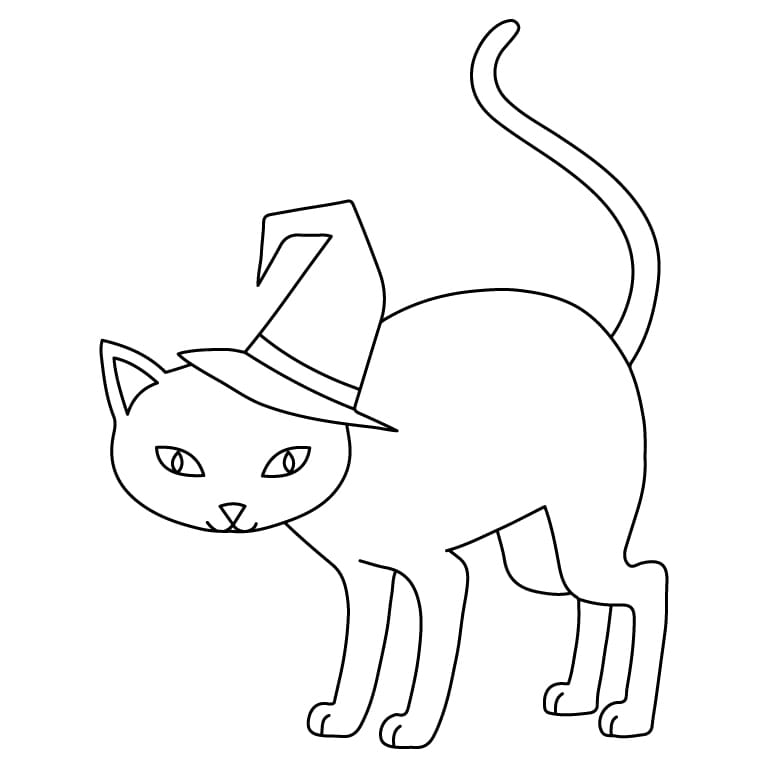 Cat Wearing Witch Hat