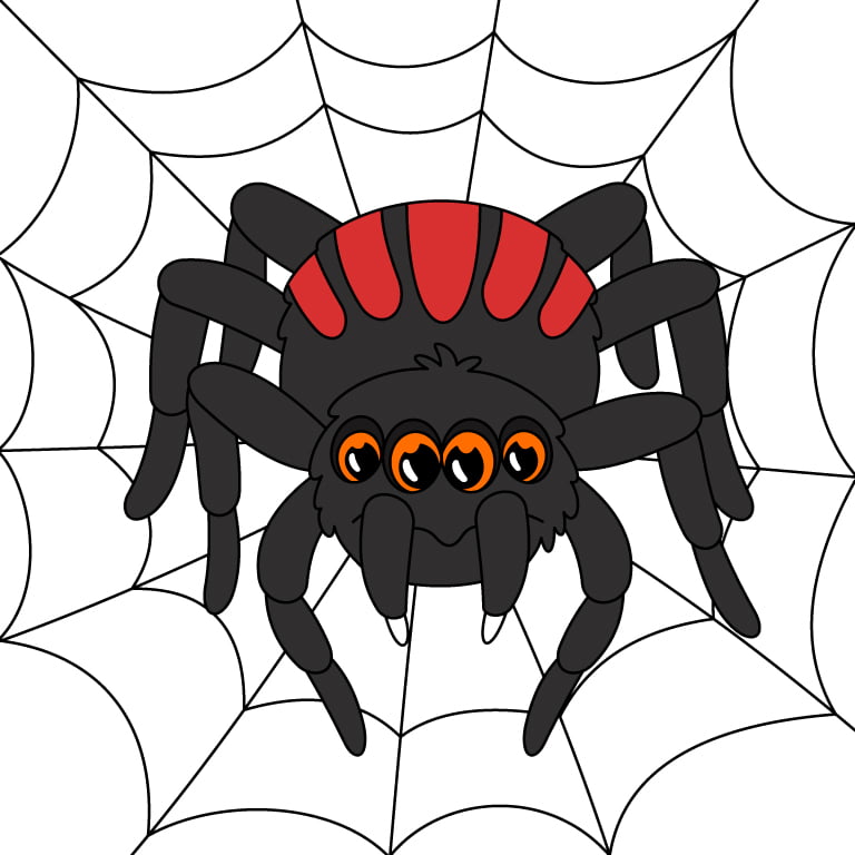 Spider On Web Color