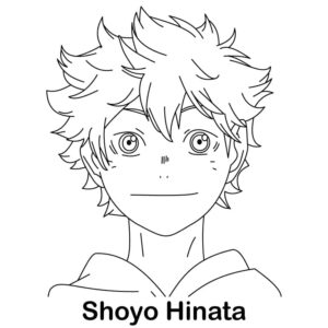 Shoyo Hinata