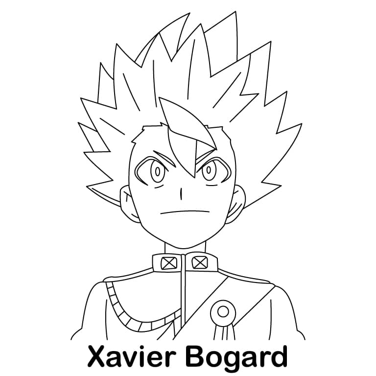 Xavier Bogard