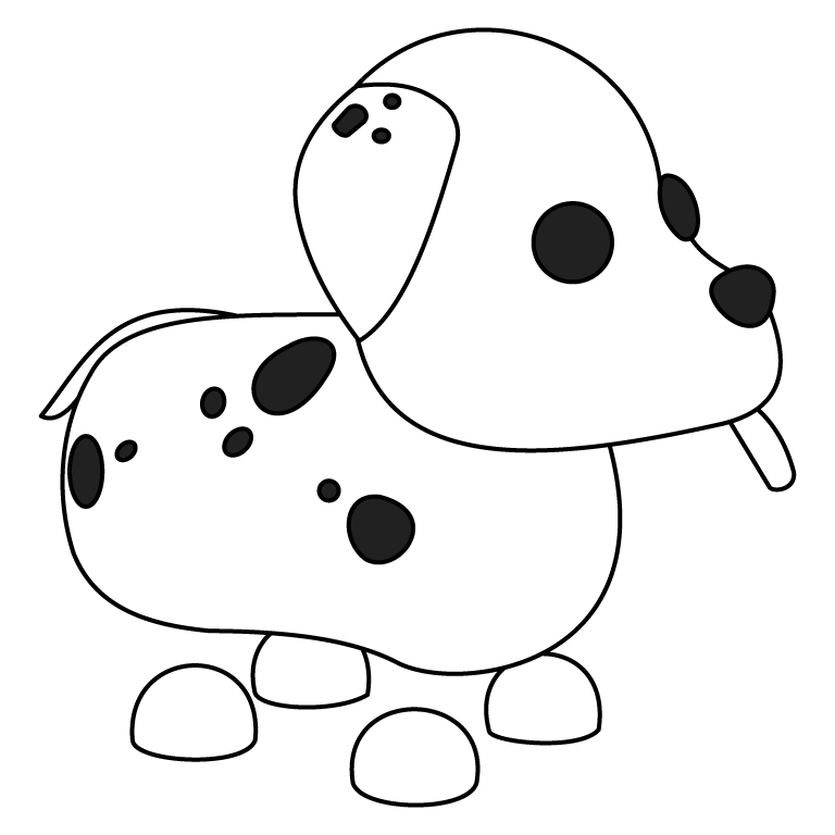 Dalmation