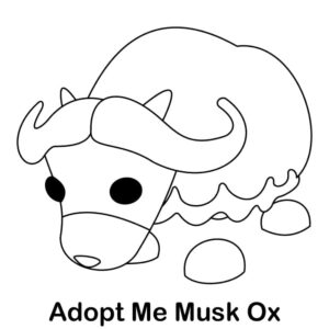 Musk Ox
