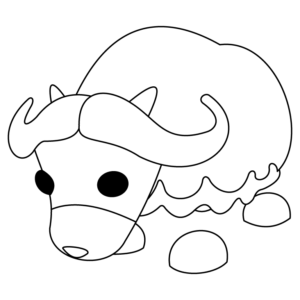 Musk Ox