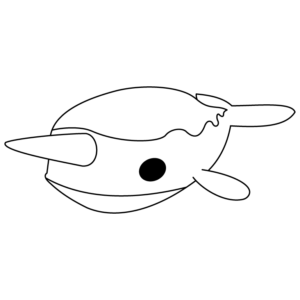 Narwhal