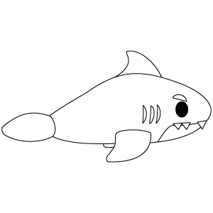 Shark