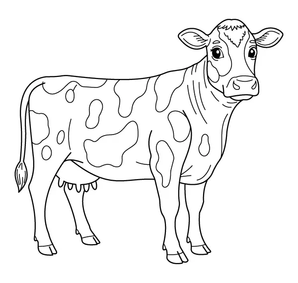 Cow Coloring Page