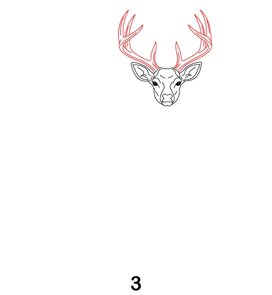 Deer Step 3