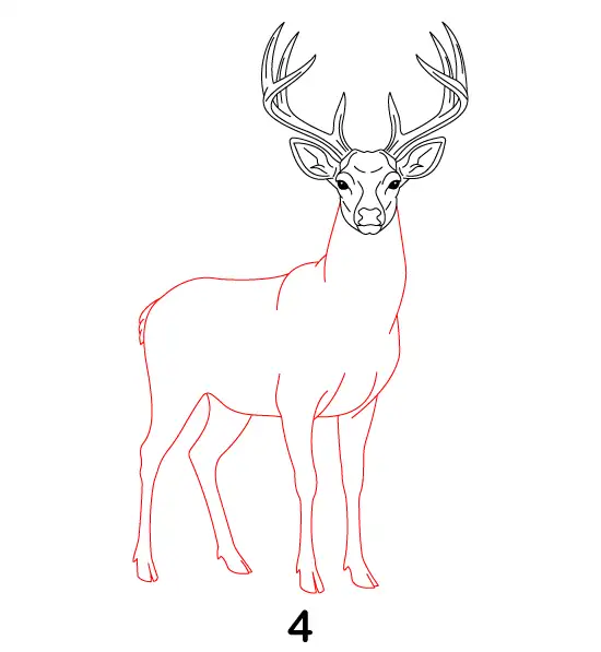 Deer Step 4