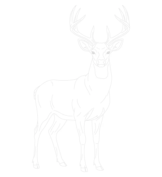 Deer Trace By Image Page