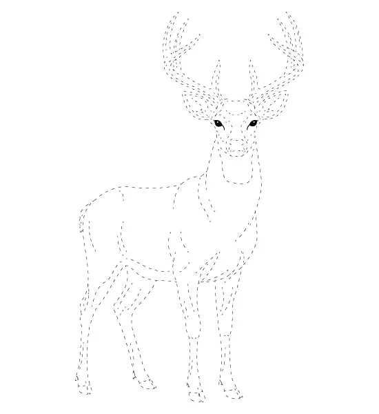 Deer Tracing Page