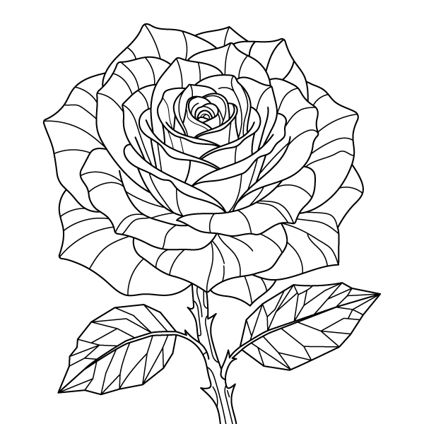 Layered Rose Bloom Coloring Page