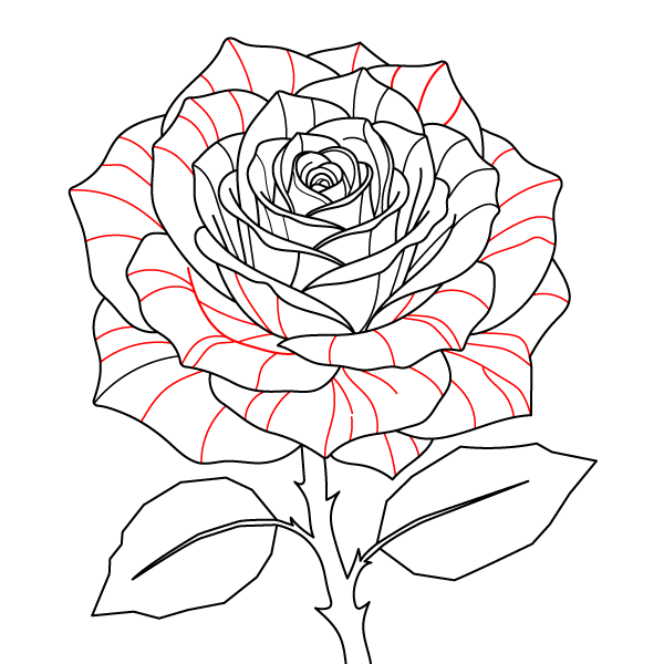 Layered Rose Bloom Step 11