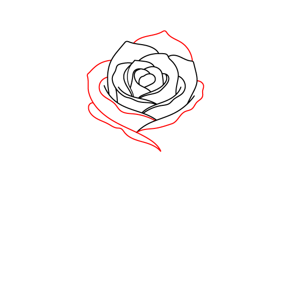 Layered Rose Bloom Step 4