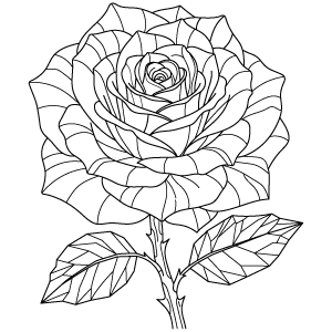 Layered Rose Bloom Thumbnail