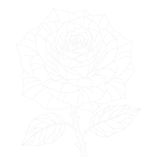 Layered Rose Bloom Trace By Image Page