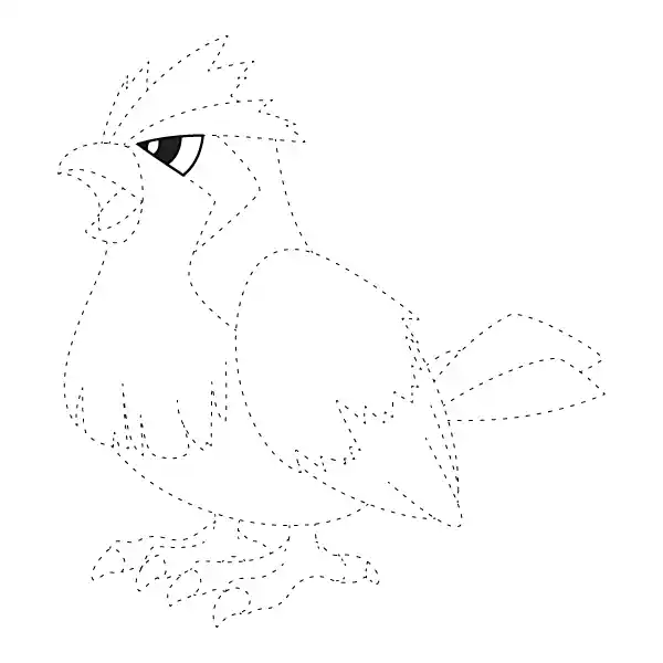 Pidgey Tracing Page