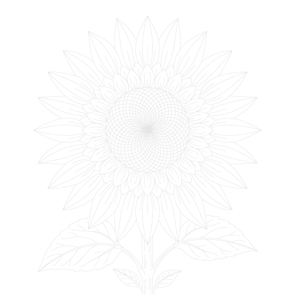 Radiant Sunflower Trace By Image Page