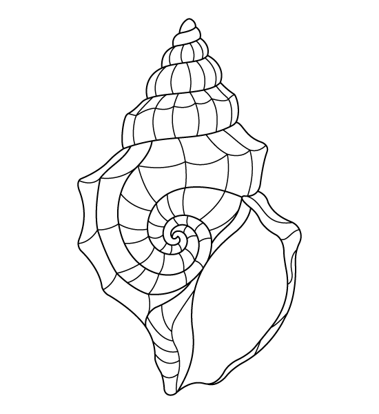 Seashell Coloring Page