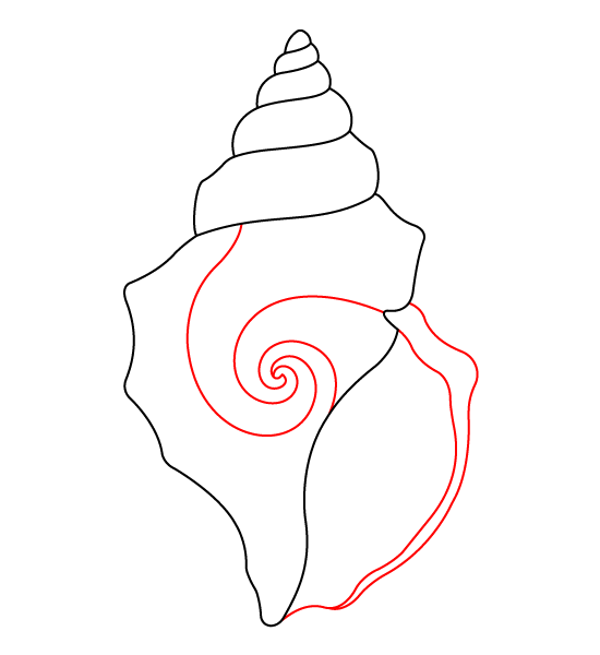 Seashell Step 3