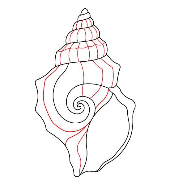 Seashell Step 4