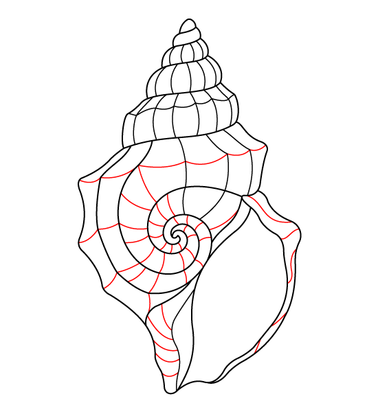 Seashell Step 5