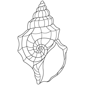 Seashell Thumbnail