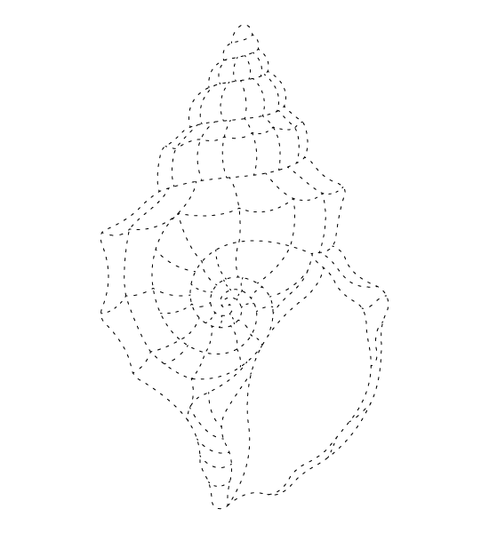 Seashell Tracing Page