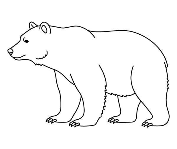 Bear Coloring Page