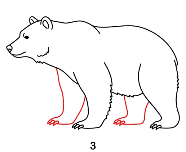 Bear Step 3