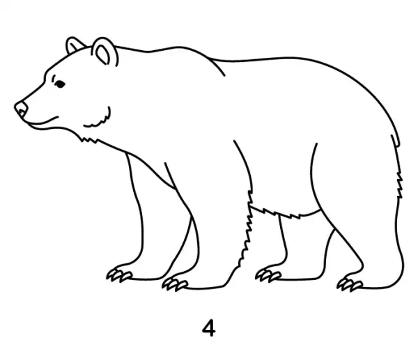 Bear Step 4
