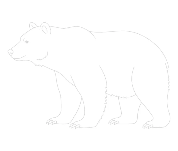 Bear Trace By Image Page