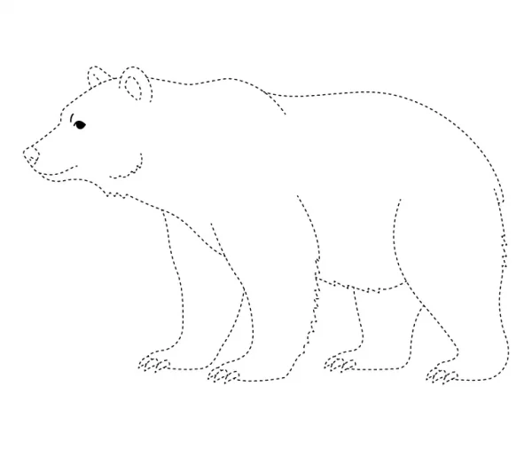 Bear Tracing Page