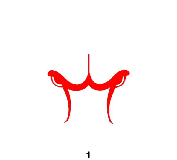 Chicago Bulls Logo Step 1