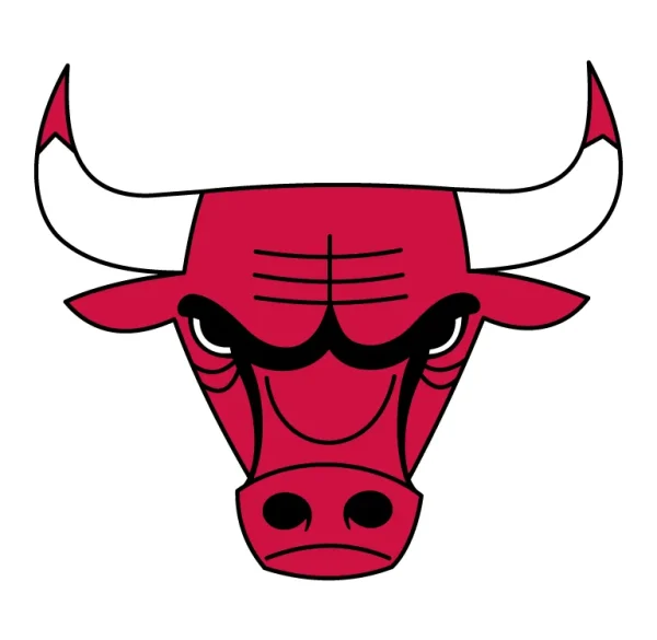 Chicago Bulls Logo