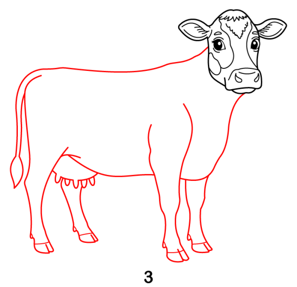 Cow Step 3
