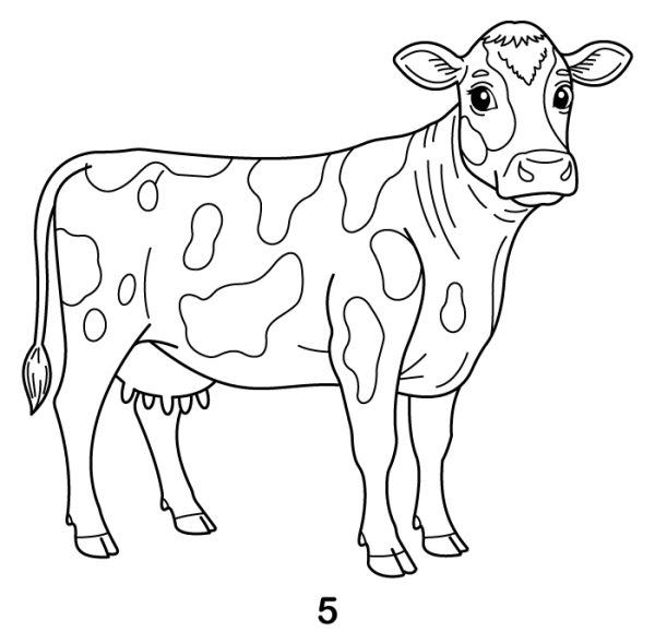 Cow Step 5