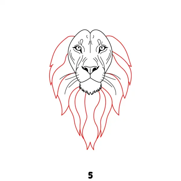 Lion Step 5