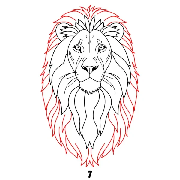 Lion Step 7