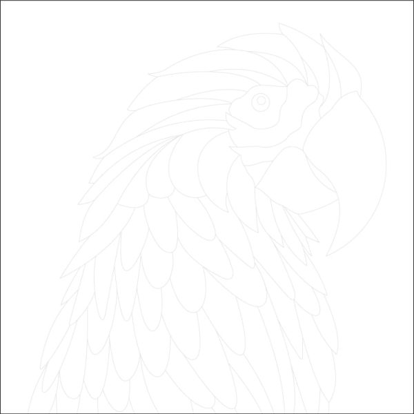 Macaw Parrot Trace By Image