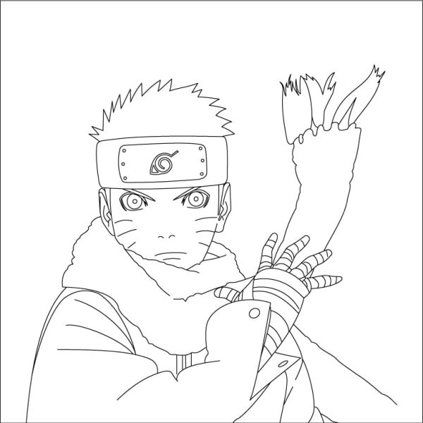 Naruto The Last