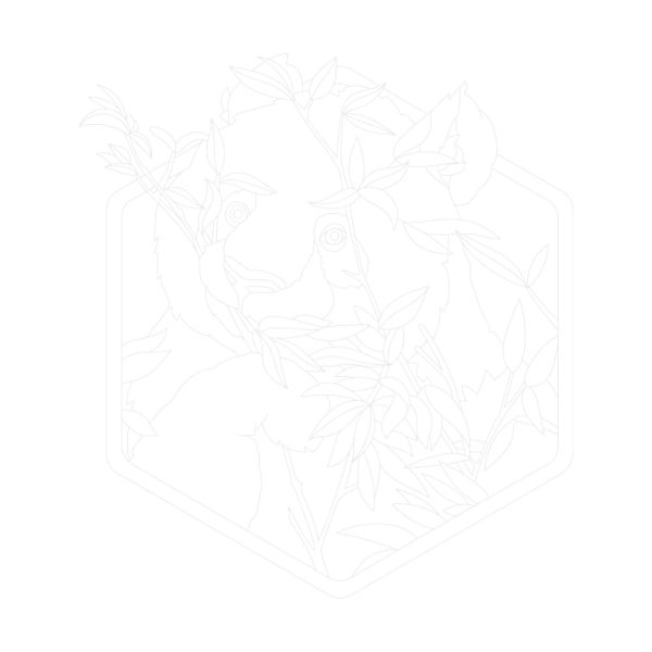 Panda-Trace-By-Image