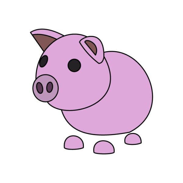 Pig