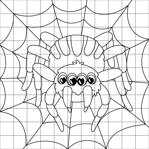 Spider On Web Drawing Grid