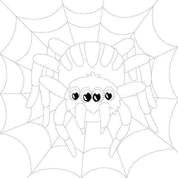 Spider-Tracing