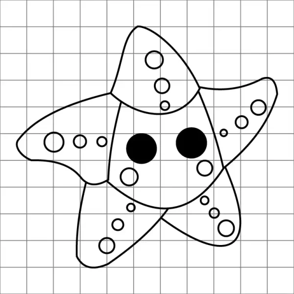 Starfish Drawing Grid