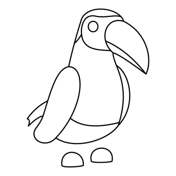 Toucan