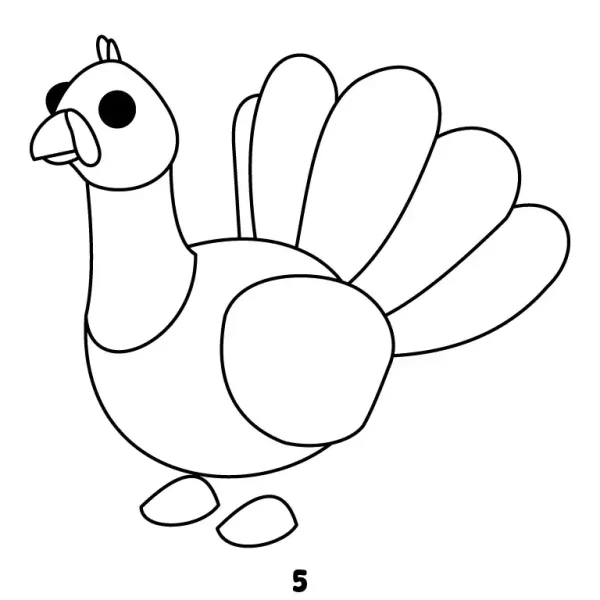 Turkey Step 5