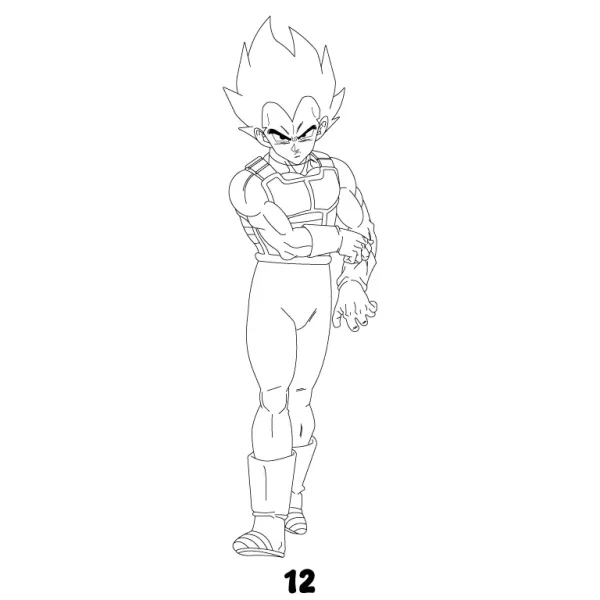 Vegeta Step 12